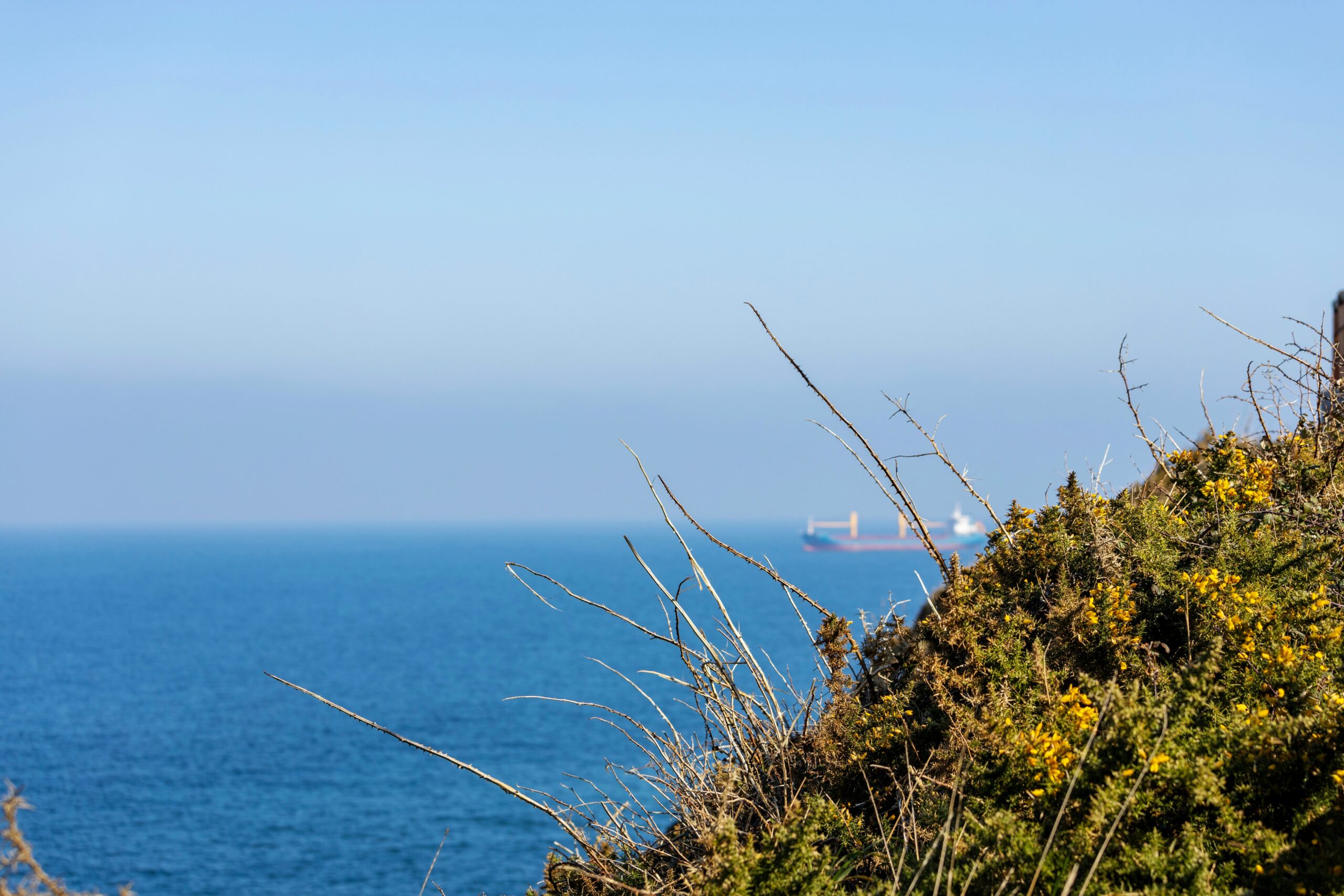 Obrazek wyróżniający Hello World